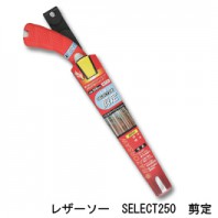 SELECT剪定